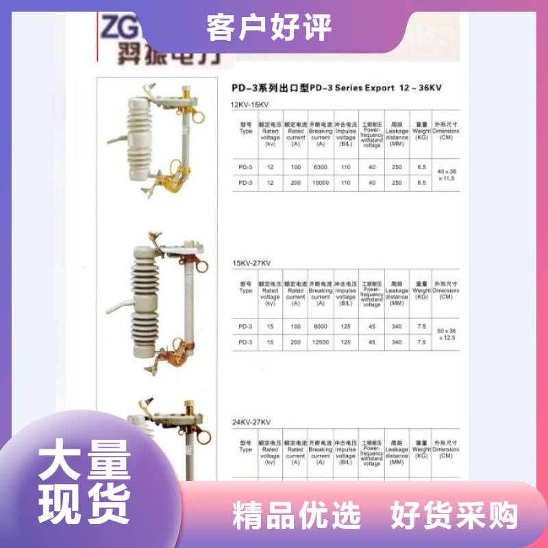 -HRW12-12KV/100【浙江羿振电气有限公司】