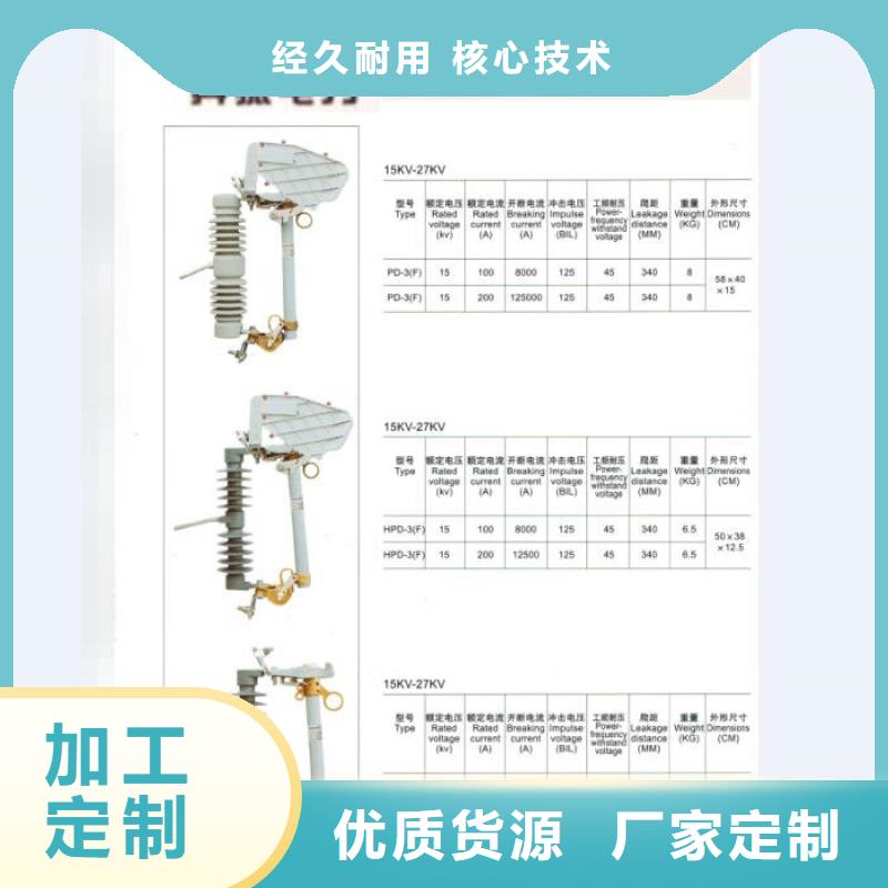 行业资讯：
高压熔断器/RW11-10/100A