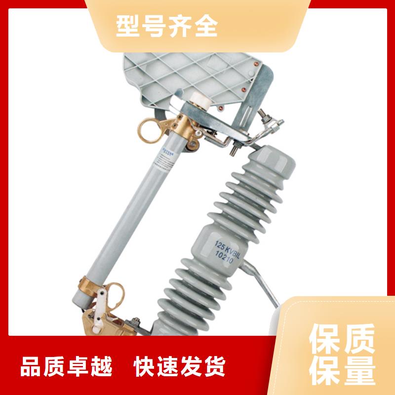 高压熔断器/HRW4-10/100A