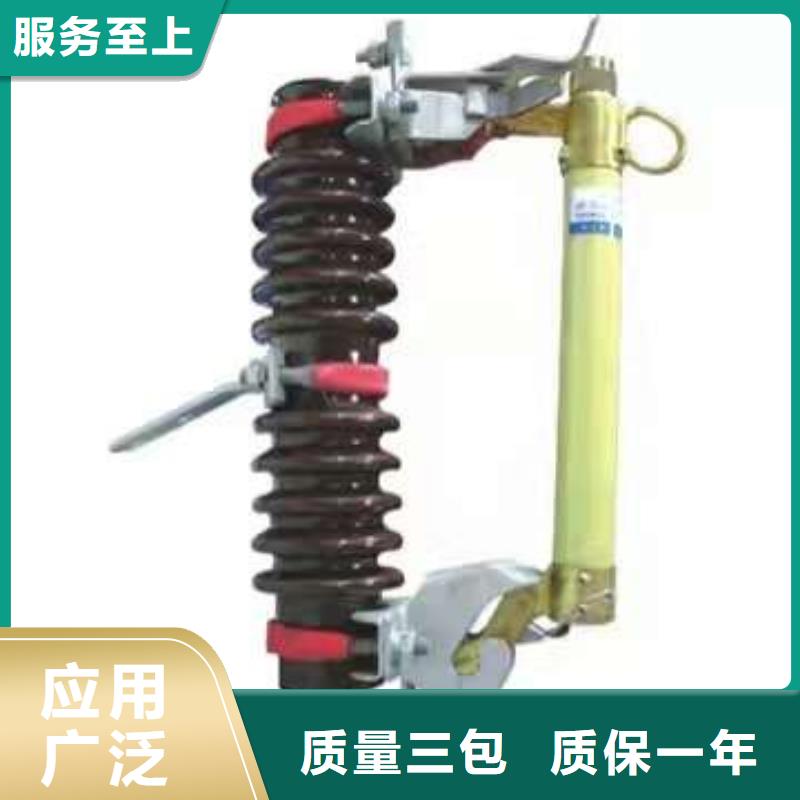 高压熔断器/RW10-12KV/200