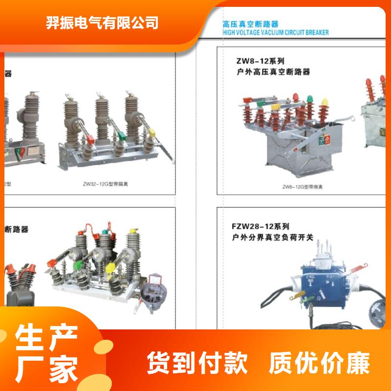 高壓隔離開關-高壓真空斷路器專注細節專注品質