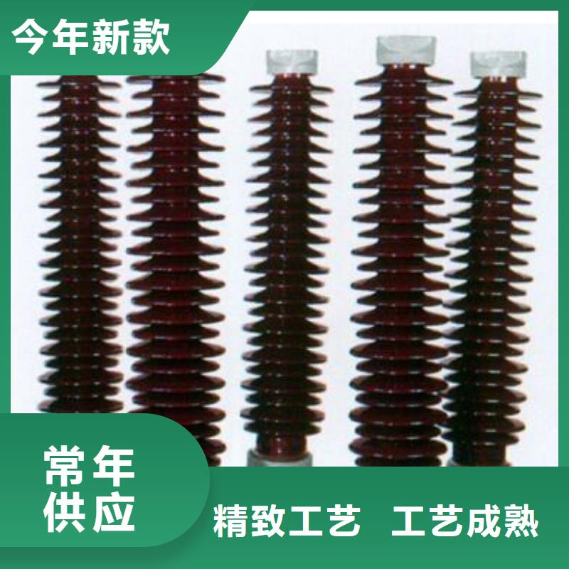 高压隔离开关绝缘子定制定做