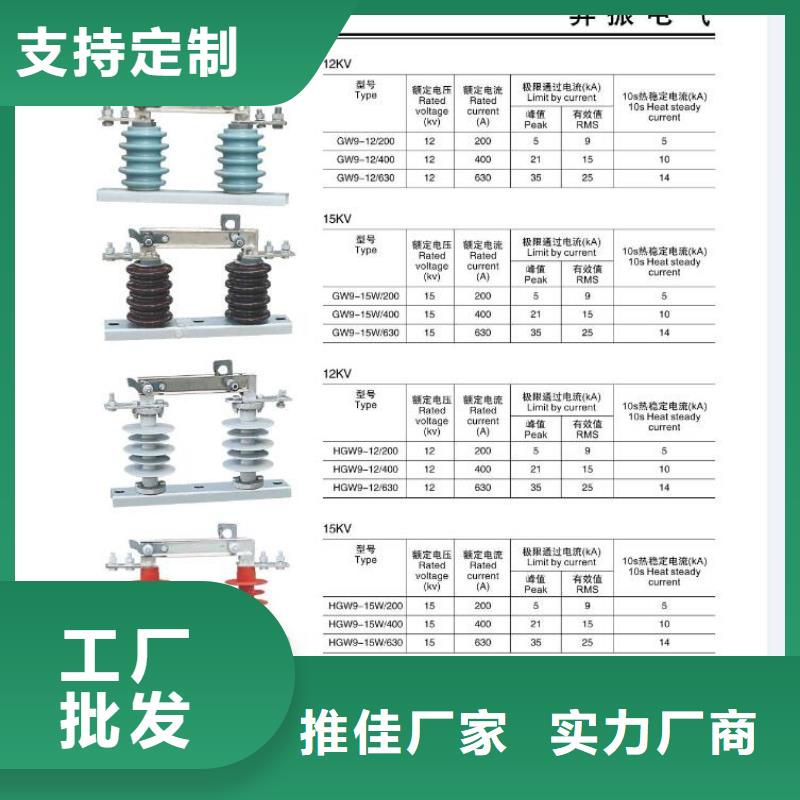 高壓熔斷器-HRW11-10F/100