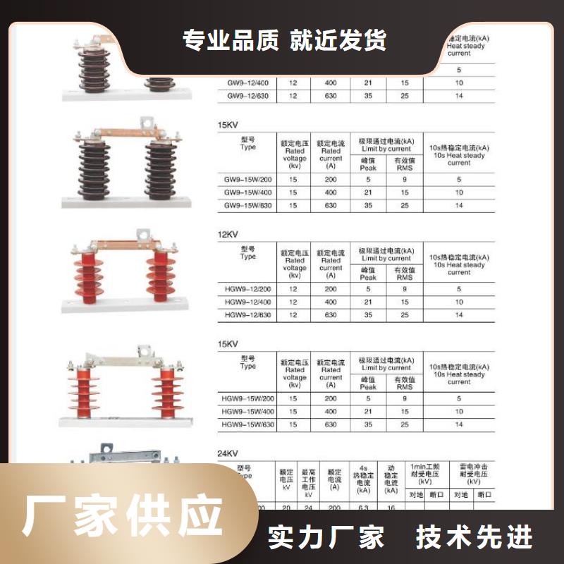 [佛山]高压隔离开关HGW9-10KV/400-现货直供