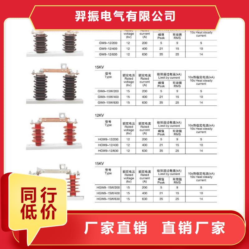 10KV单级隔离开关HGW9-12G/1000