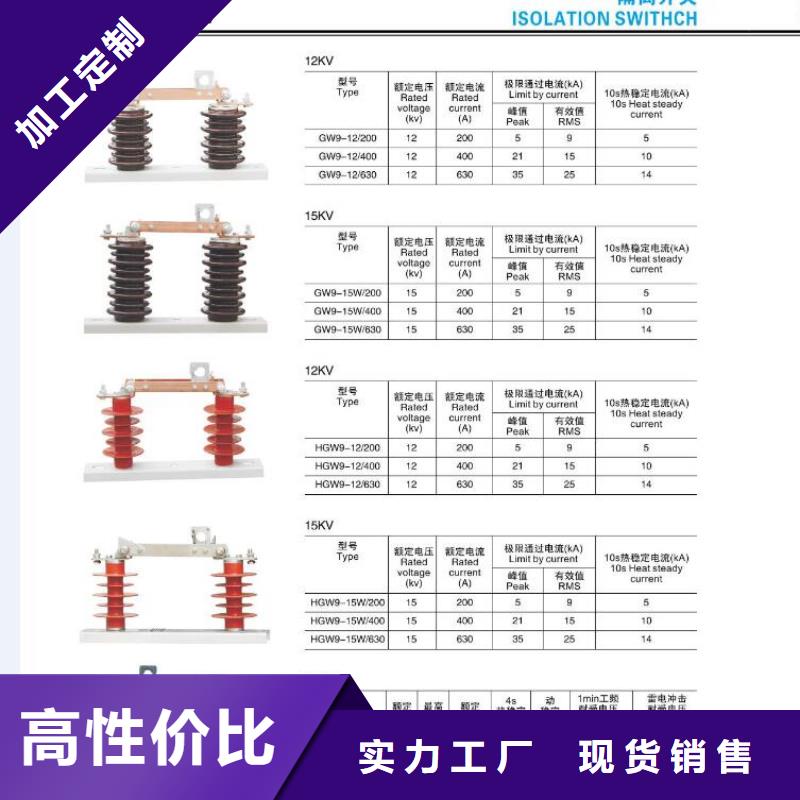 -高压熔断器-高压熔断器RW12-15F/100A