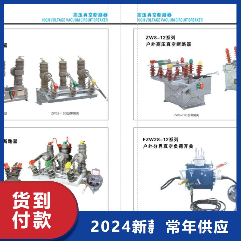 【隔离开关】户外高压交流隔离开关GW9-10G(W)/630A