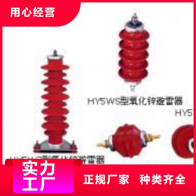高压隔离开关绝缘子定制定做