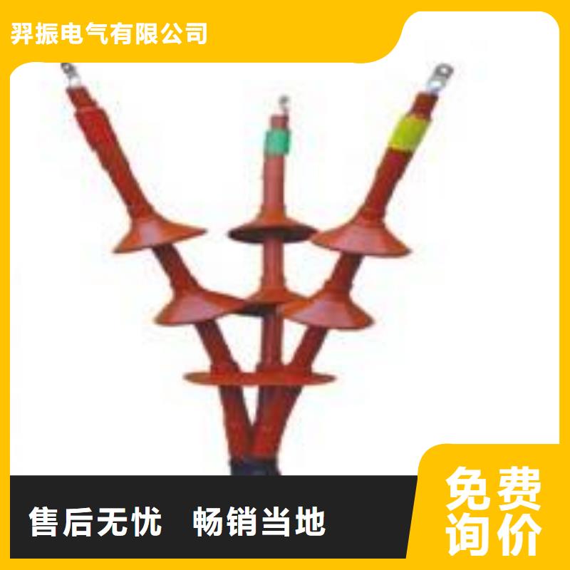 满足多种行业需求【电缆附件】_高压负荷开关多种规格供您选择-羿振电气有限公司-产品视频
