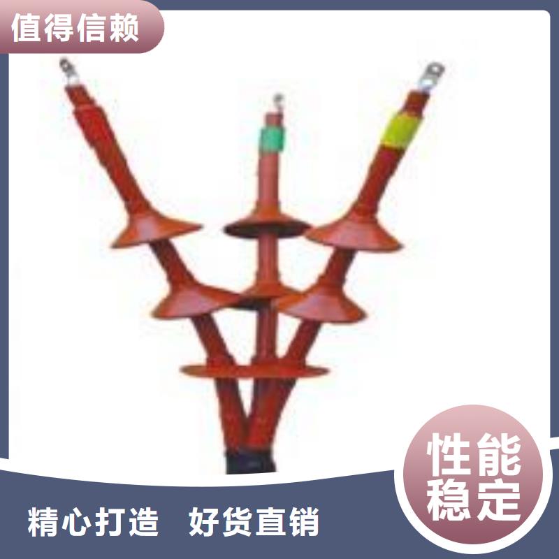NLS-24/3.3冷缩电缆终端头