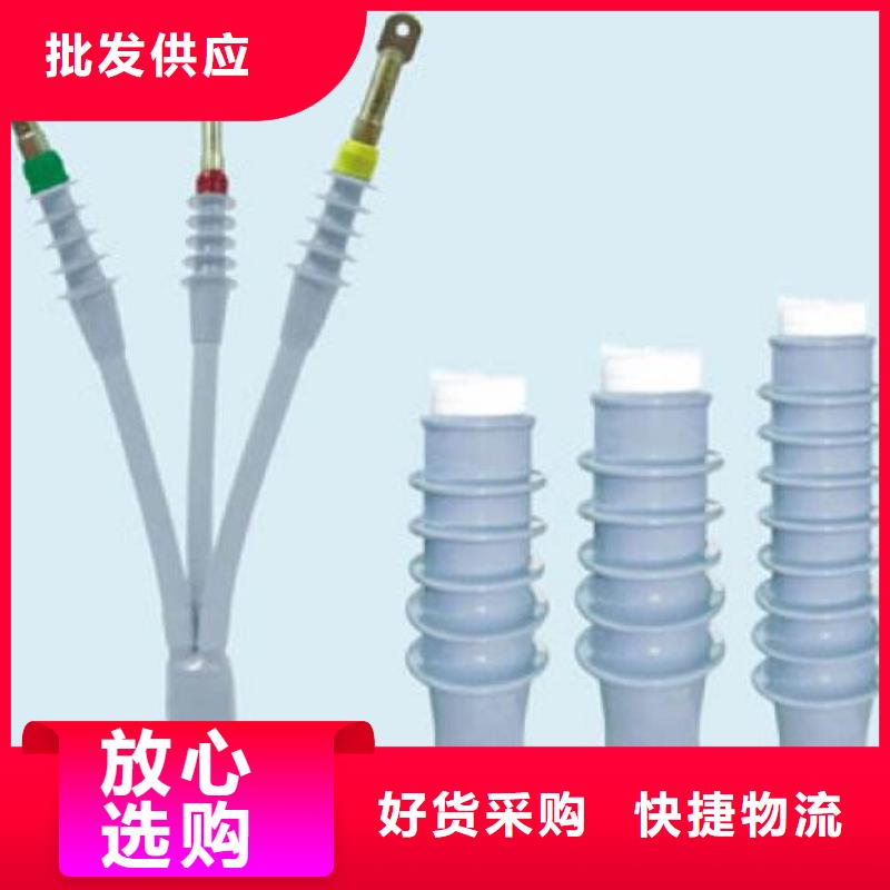 【电缆附件】-高压隔离开关厂家专注质量羿振跌落式熔断器