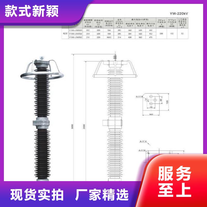 【避雷器】HY10WS-100/260-浙江羿振電氣有限公司