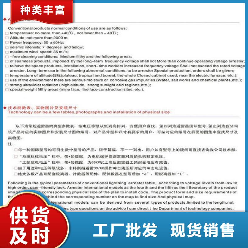 【避雷器】YH10WX-96/250【避雷器、过电压保护器生产厂家】