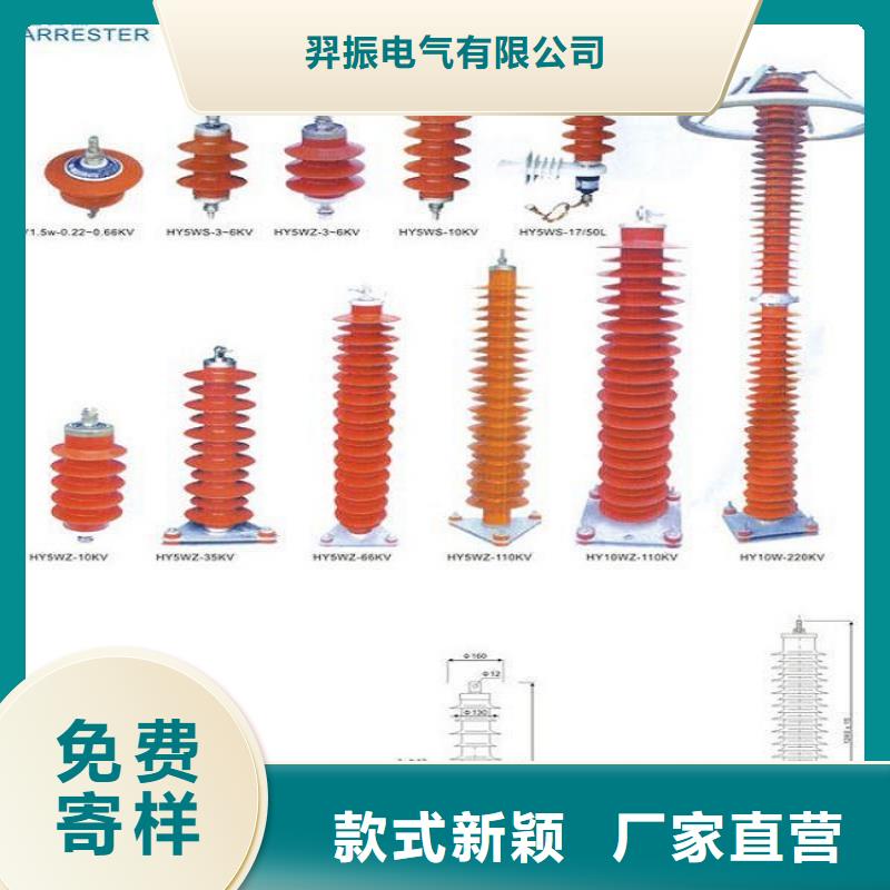 可折卸式10KV避雷器HY5WS/17/50IVDL-DT【羿振电气】