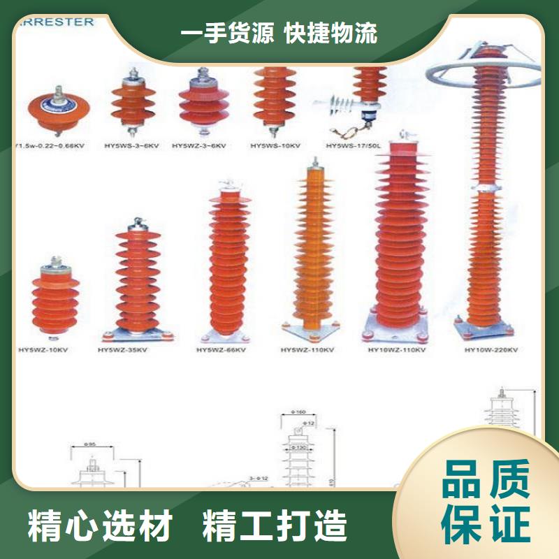 避雷器YH5WZ-51/134TLQ底座式，带放电计数器【羿振电气】