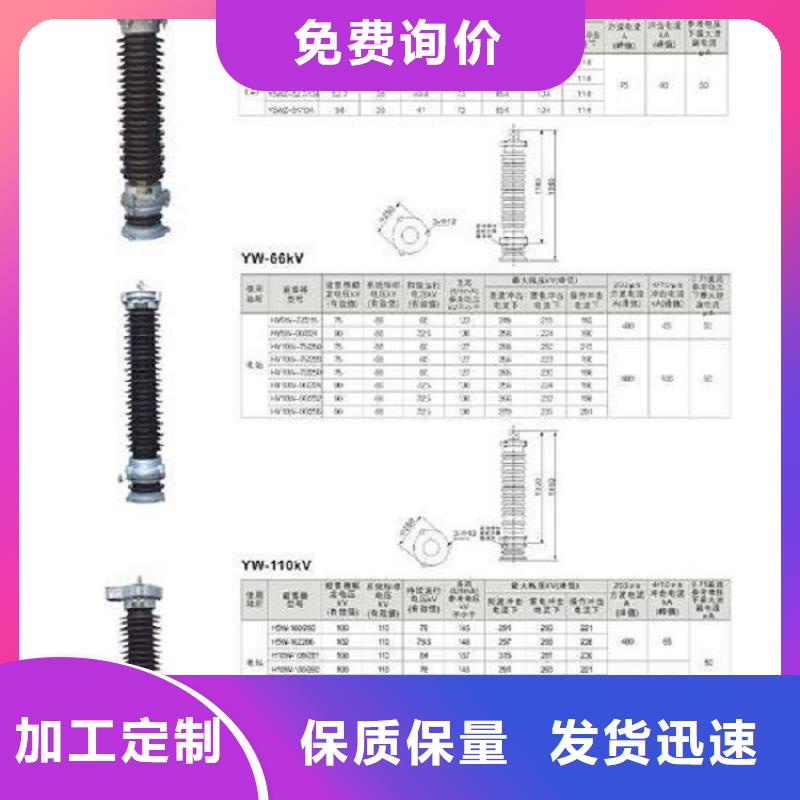 【避雷器】Y10W5-198/565GY