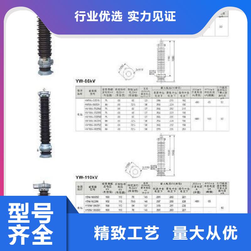 金属氧化物避雷器Y10W1-192/500