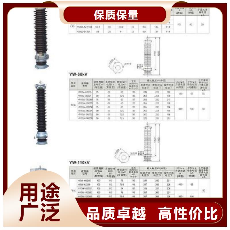 孝南|汉川|黄石|恩施|荆州|十堰|武汉|随州羿振避雷器跌落式熔断器实力派厂家