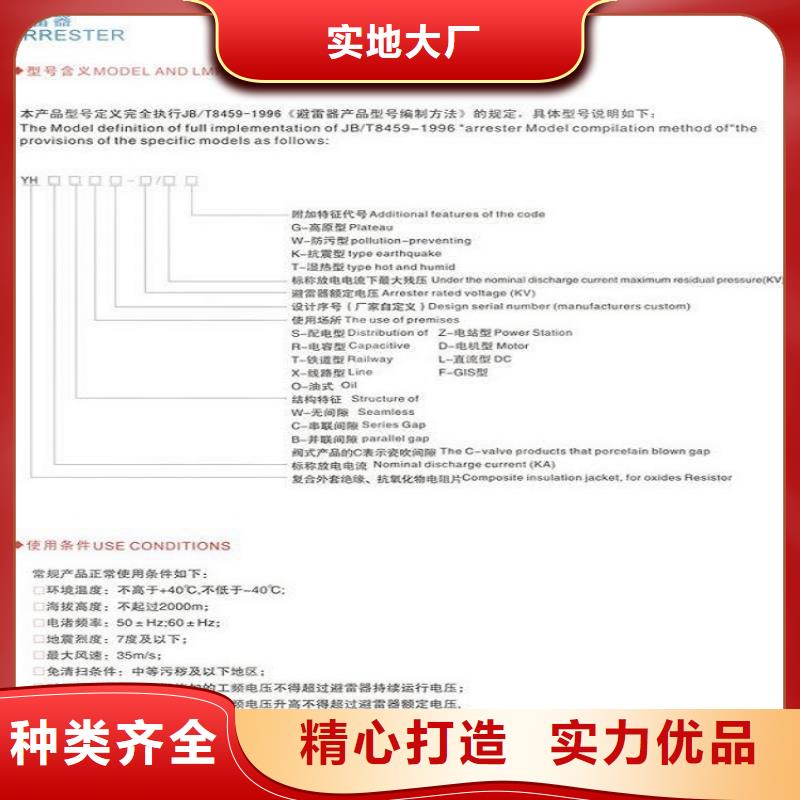 避雷器Y10W-102/266浙江羿振电气有限公司