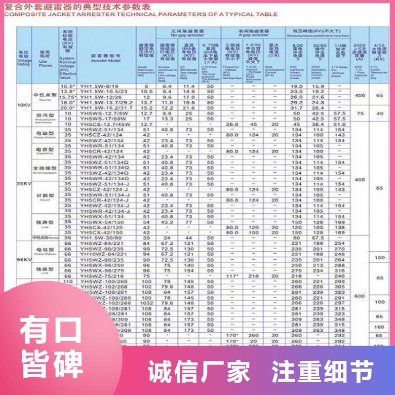 避雷器Y10W5-90/235S【羿振电气】