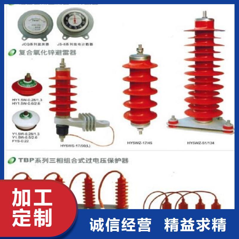 【羿振电气】避雷器Y1W-4.6/12