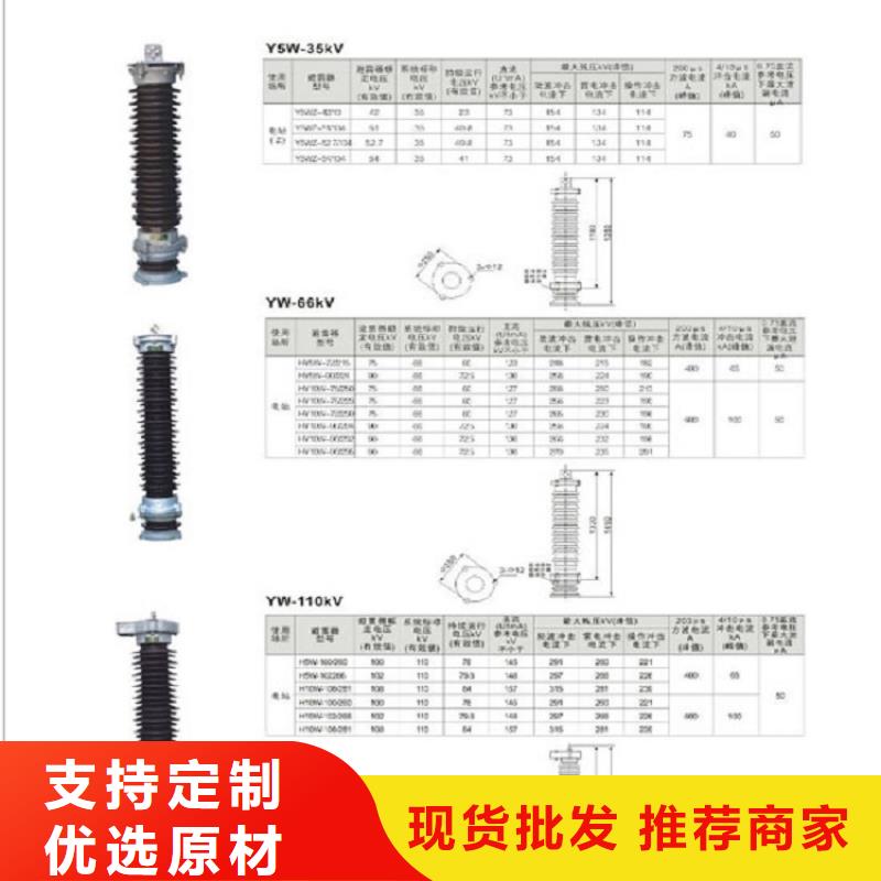 YH5CX5-100/260附放電計數器