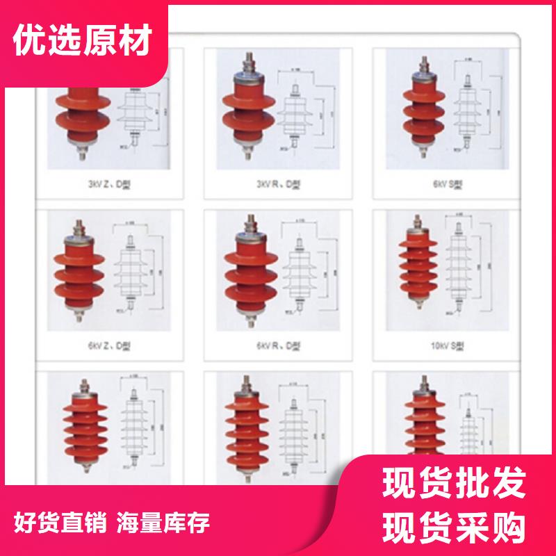 避雷器YH5WZ-51/134TLQ底座式，带放电计数器【羿振电气】