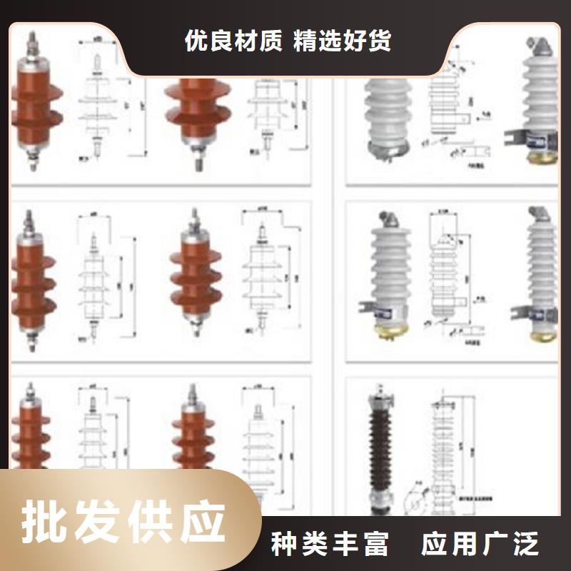 可折卸式10KV避雷器HY5WS/17/50IVDL-DT【羿振电气】