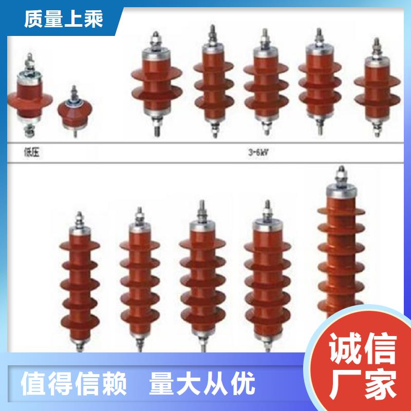 避雷器Y10W5-216/562W【羿振电气】