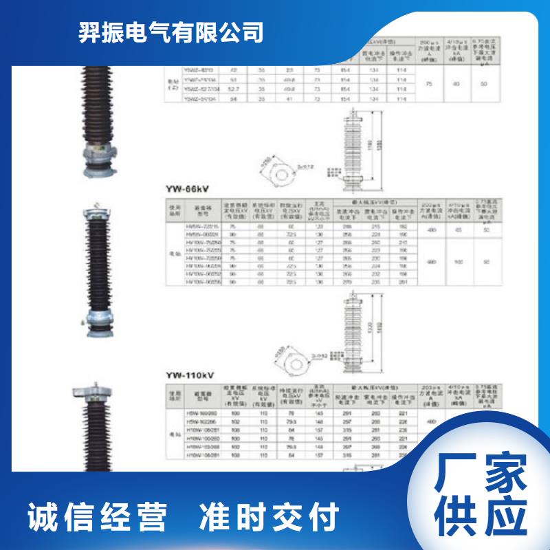 【避雷器】HY10WS-100/260-浙江羿振電氣有限公司