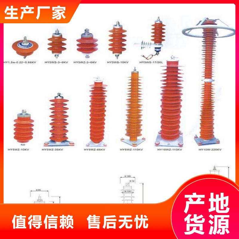 【羿振电气】避雷器YH10CX-90/260