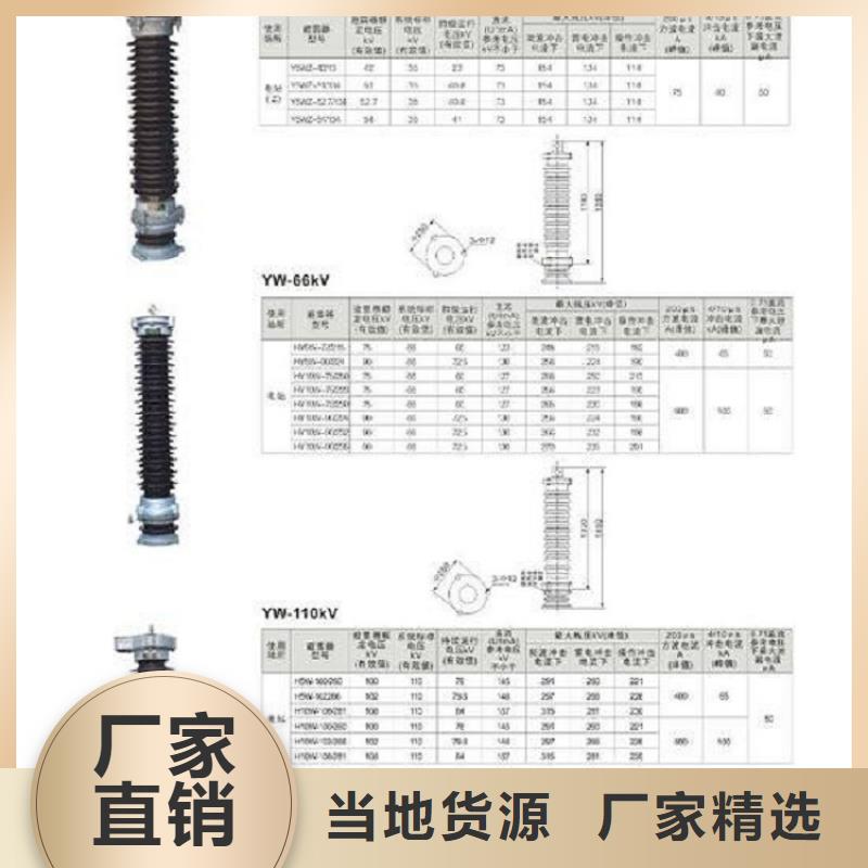 避雷器Y5WS-10/30【羿振电力】