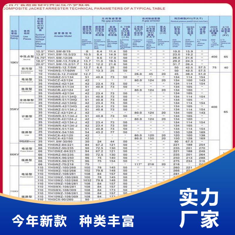 羿振避雷器跌落式熔断器实力派厂家-业务覆盖区域|云梦|应城|武汉|鄂州|黄石|咸宁-企业旺旺
