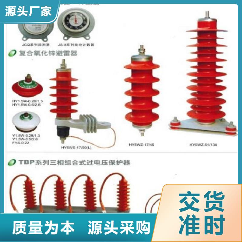 可折卸式10KV避雷器HY5WS/17/50IVDL-DT【羿振电气】