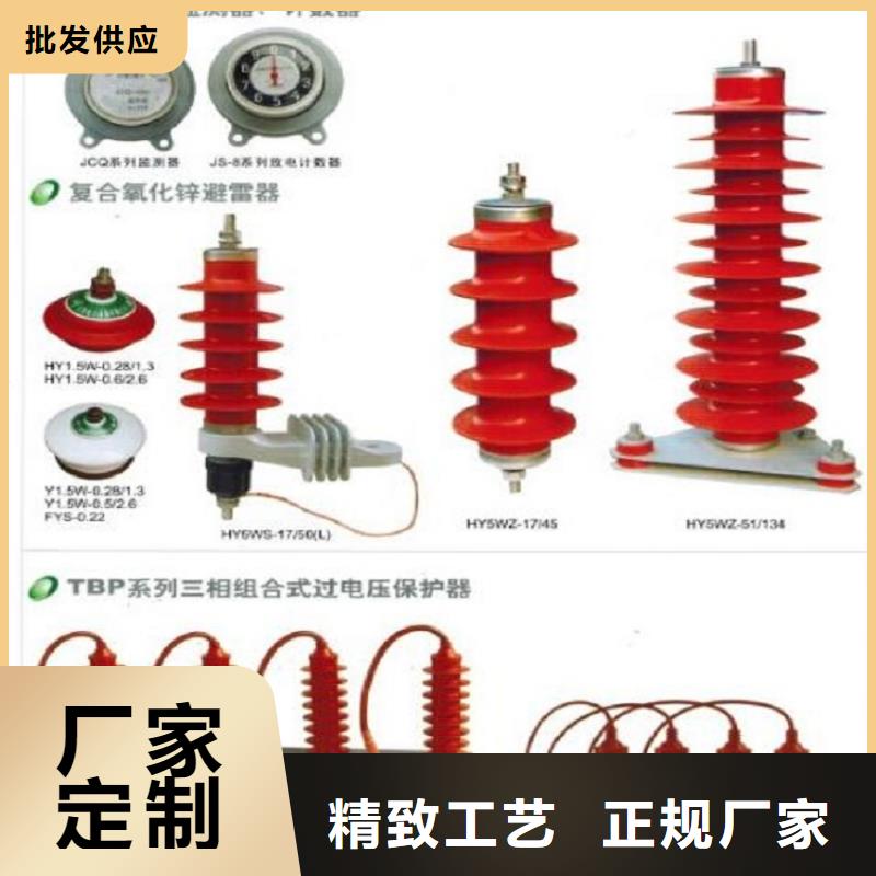 【避雷器】Y10W5-198/565W