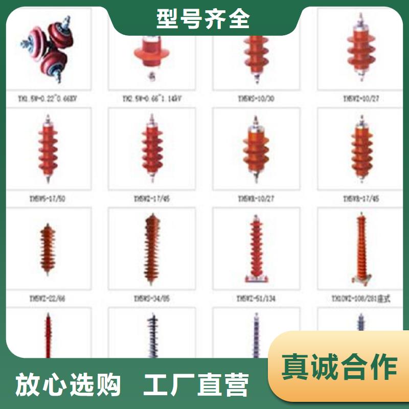 复合外套氧化锌避雷器HY10WZ-51/134GY【上海羿振电力设备有限公司】