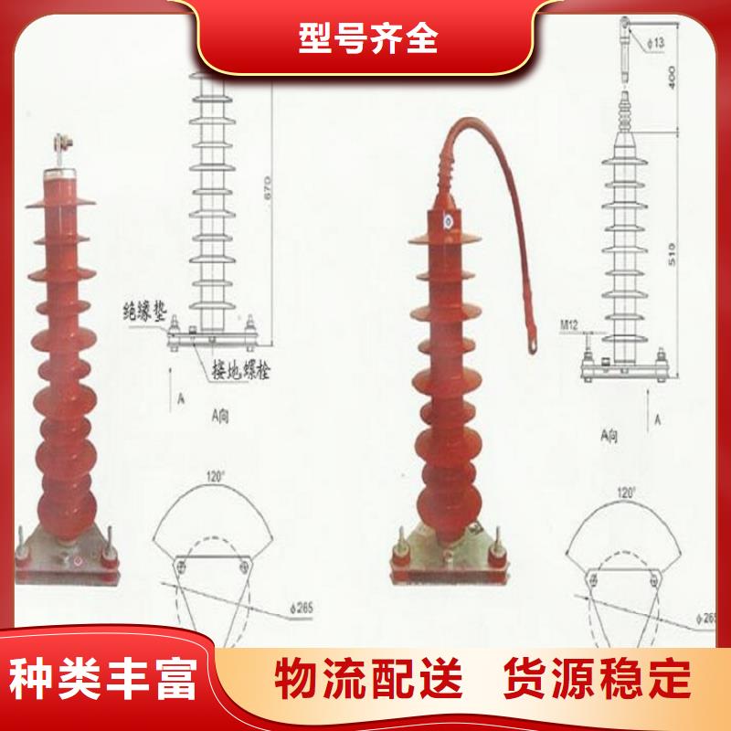 避雷器Y10W5-198/565W浙江羿振电气有限公司