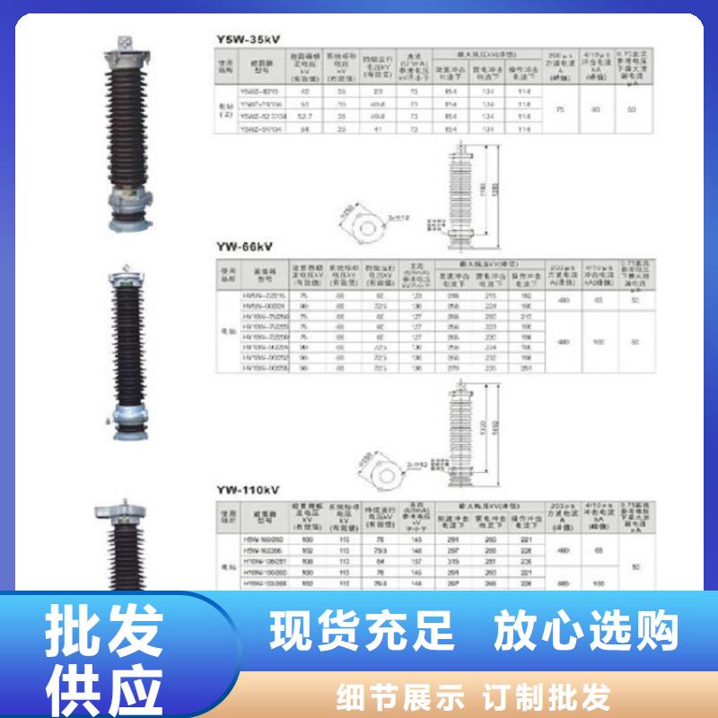 可折卸式10KV避雷器HY5WS/17/50IVDL-DT【羿振电气】