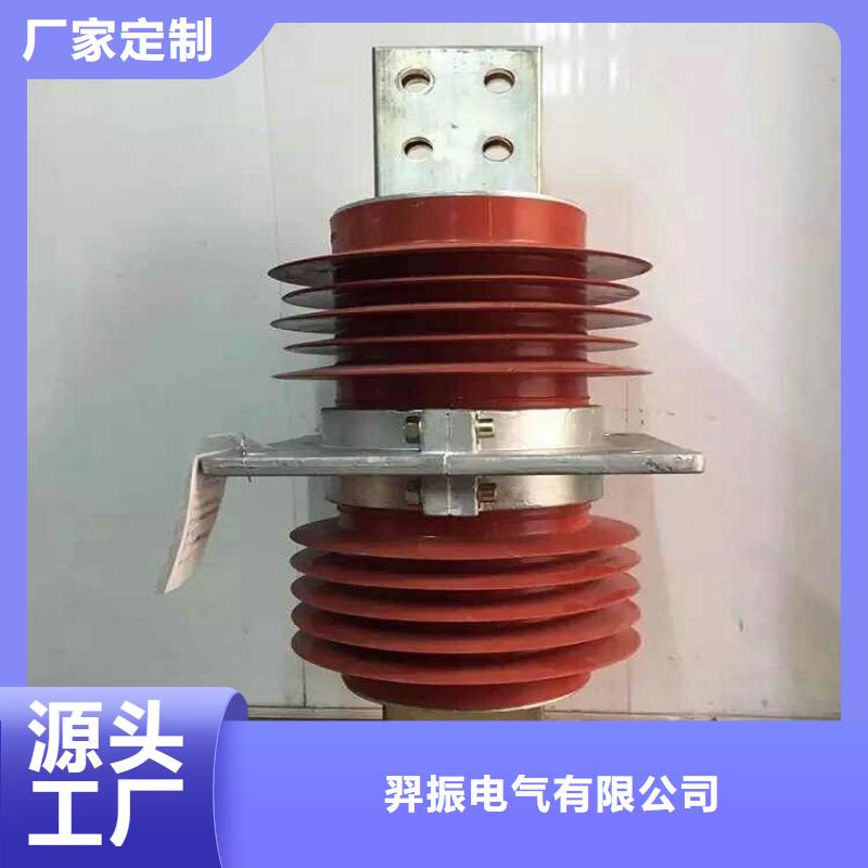 复合穿墙套管真空断路器厂家实力雄厚|跌落式熔断器-羿振电气(迪庆市分公司)