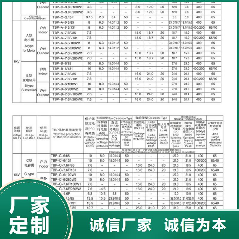 〖过电压保护器〗TBP-C-42/310欢迎来电