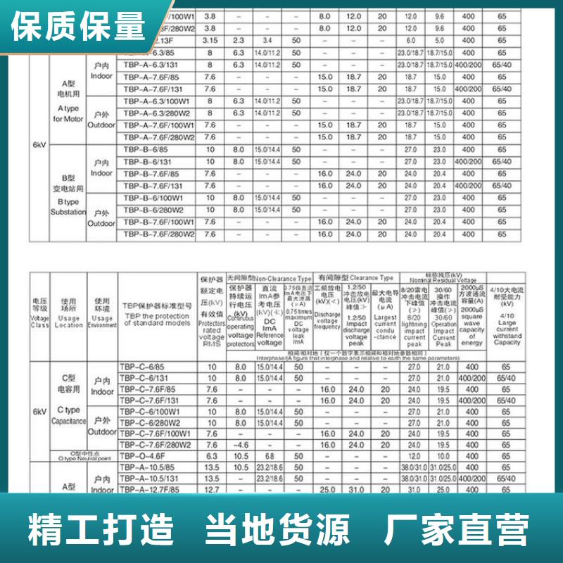 保护器(组合式避雷器)JPBHY5CD2-7.6/17/1N