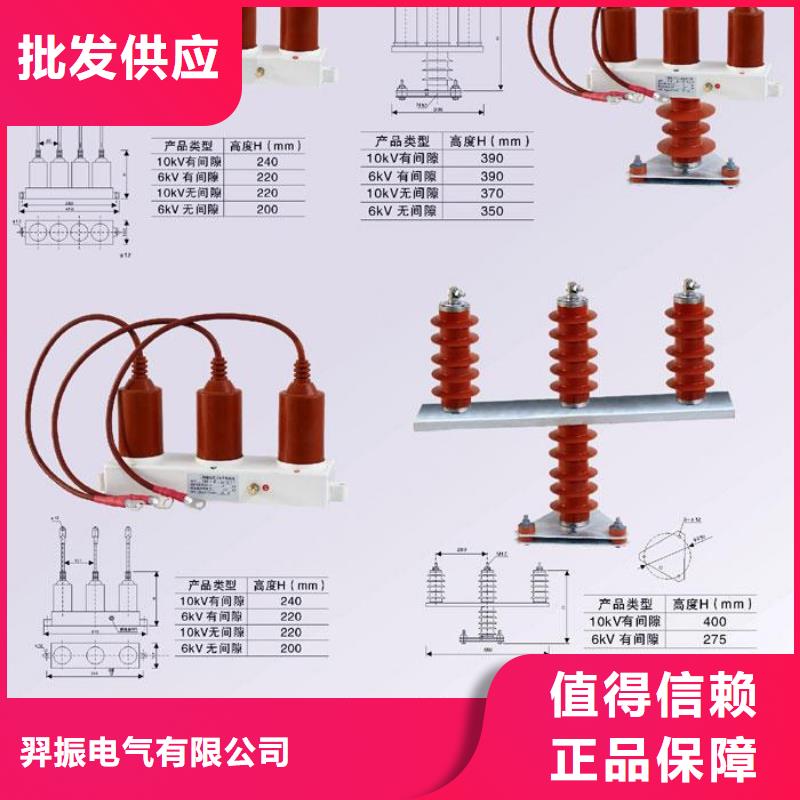 ＿过电压保护器(组合式避雷器)TBP-C-42/200