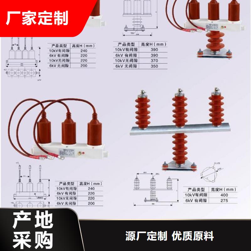 甄选:大库存无缺货危机过电压保护器绝缘子厂家细节严格凸显品质-羿振电气有限公司