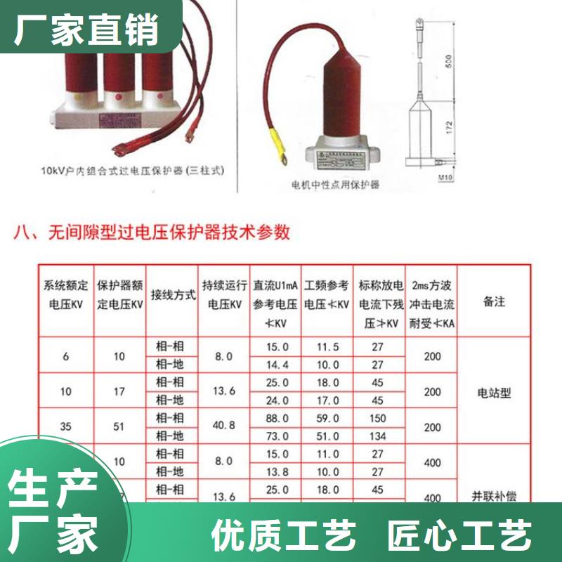 〖过电压保护器〗TBP-B-42F/310本地厂家