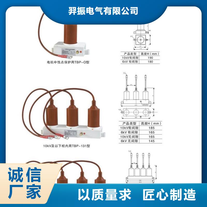 保护器(组合式避雷器)BSTG-C-7.6/131