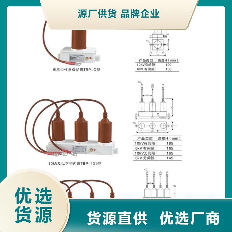 〖过电压保护器〗TBP-C-42/310欢迎来电