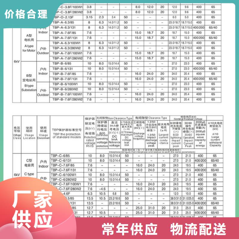 ＿过电压保护器(组合式避雷器)TBP-B-12.7/131-J