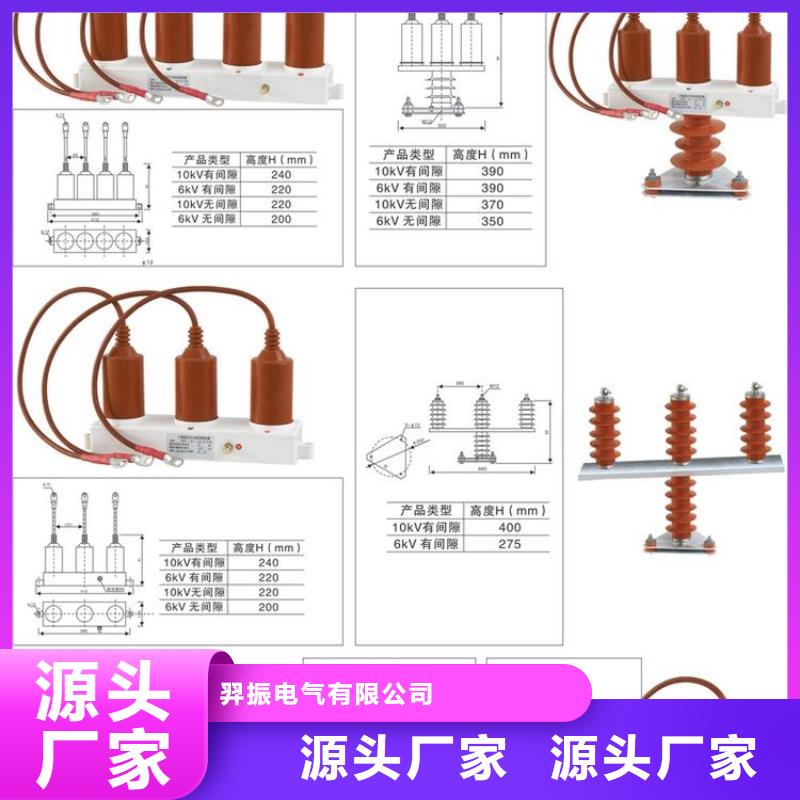 保护器(组合式避雷器)JPBHY5CD2-7.6/17/1N