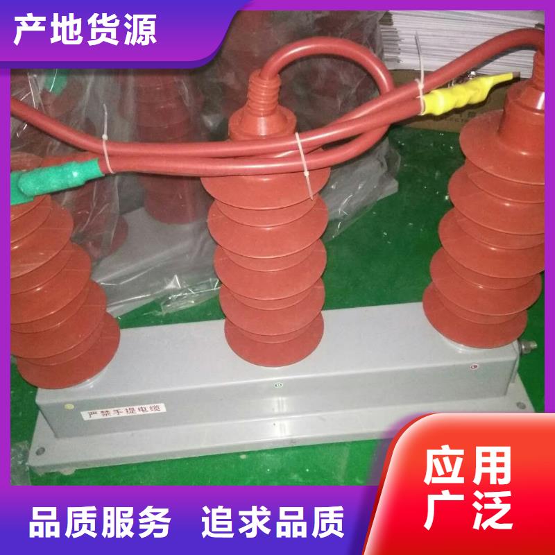 羿振过电压保护器绝缘子厂家细节严格凸显品质-企业旺旺