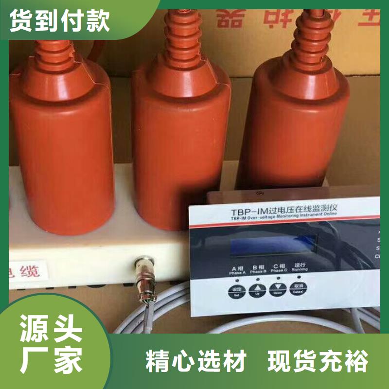 【组合式避雷器】TBP-B-12.7F/150-J